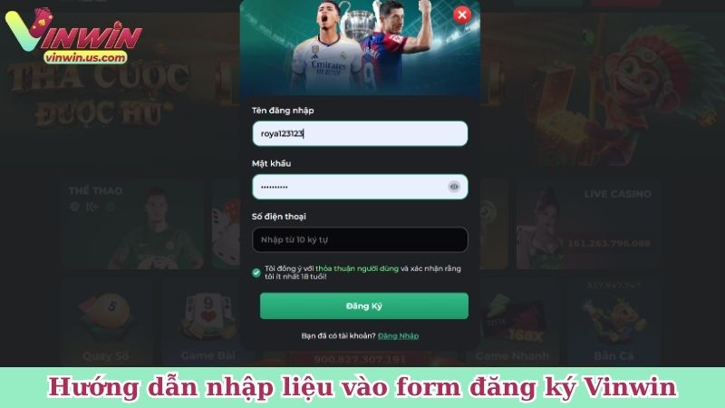 Hướng dẫn nhập liệu vào form đăng ký Vinwin