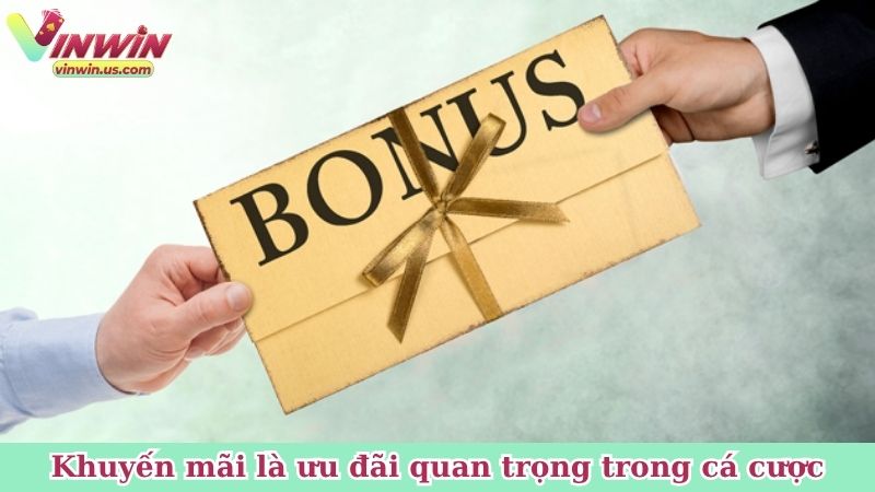 Khuyến mãi Vinwin là ưu đãi quan trọng trong cá cược