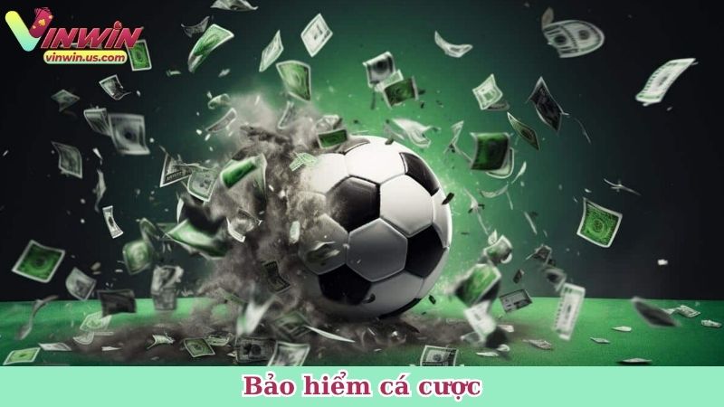 Bảo hiểm cá cược