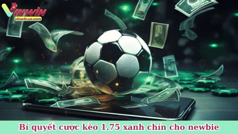 Bí quyết cược kèo 1.75 xanh chín cho newbie