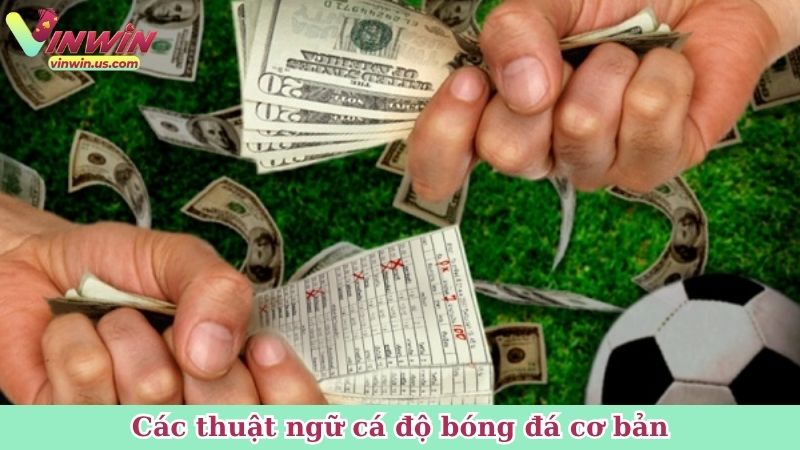 Các thuật ngữ cá độ bóng đá cơ bản