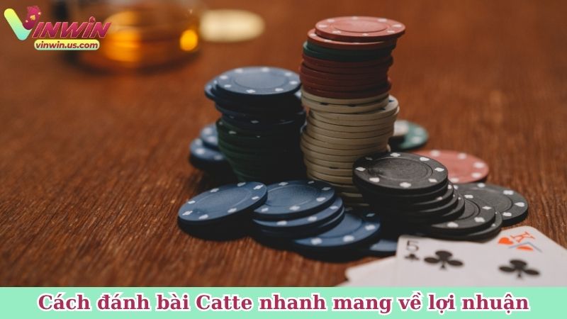 Cách đánh bài Catte nhanh mang về lợi nhuận