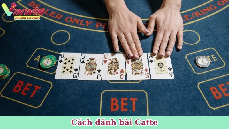 cách đánh bài Catte