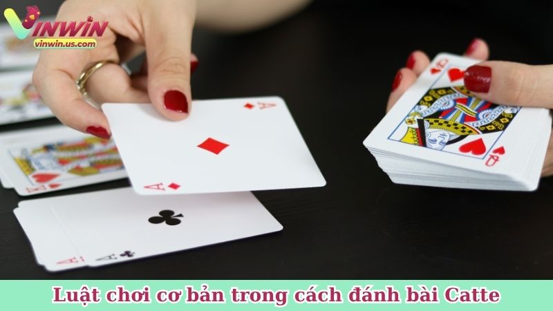 Luật chơi cơ bản trong cách đánh bài Catte