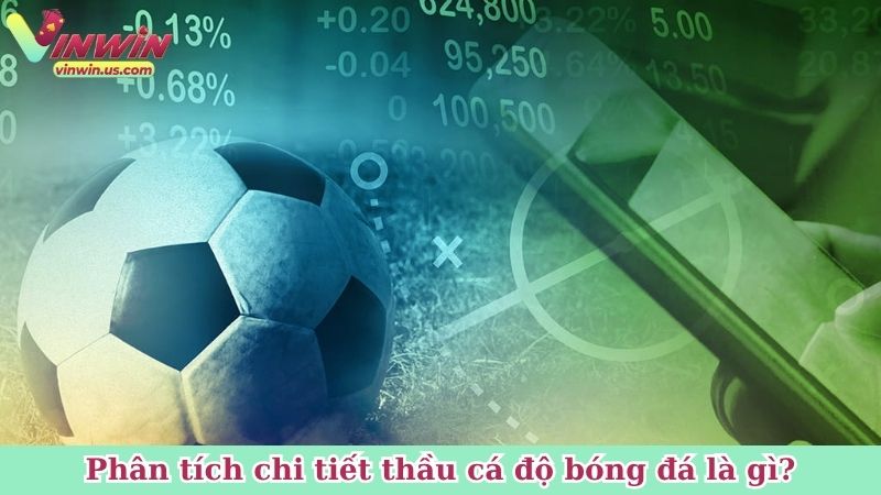 Phân tích chi tiết thầu cá độ bóng đá là gì?
