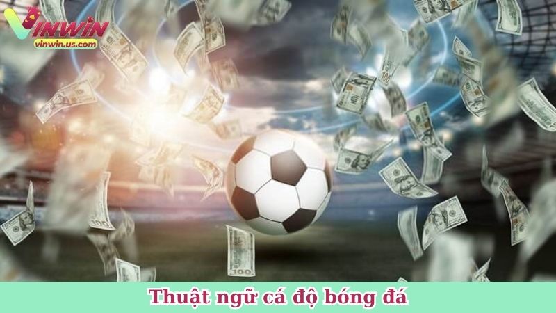 Thuật ngữ cá độ bóng đá